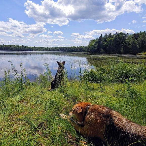 Meet your Posher, Kristy - Picture 1 of 1